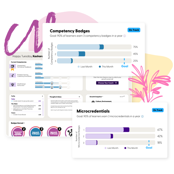 A GroweLab competency proficiency report by teacher, grade and school